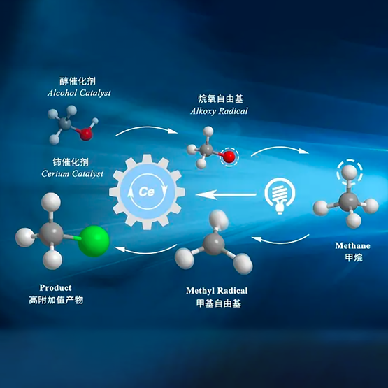 质谱仪有哪些应用范围