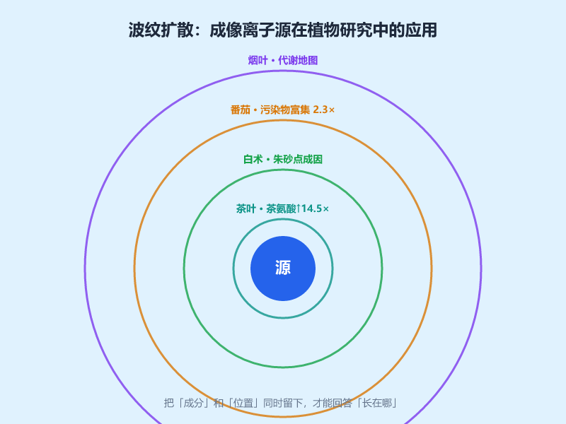 质谱成像离子源怎么用在中药与植物研究里