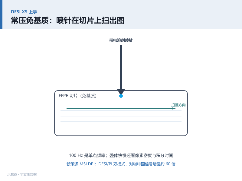 DESI XS 常压成像离子源上手报告：FFPE 切片免基质、100 Hz 扫描怎么用