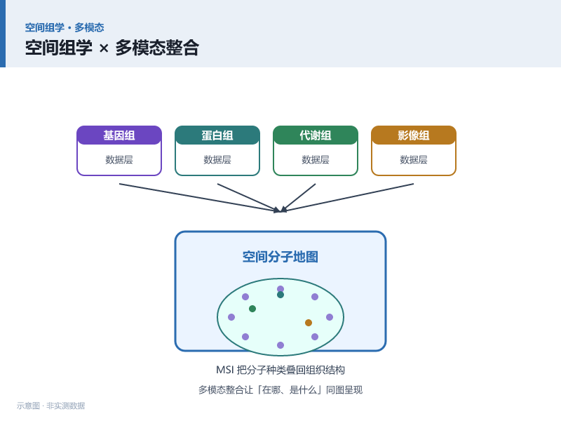 2026质谱成像新趋势：空间组学与多模态整合如何重塑生命科学